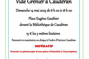 Vide Grenier à Caudéran