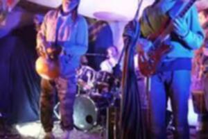 concert gratuit - Pulsaroots - raggae coloré