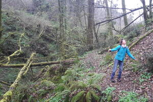 Bain de forêt musical