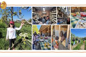 Balade chocolatée, visite et gouter à la Ferme à Reignier