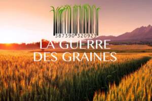 La Guerre des Graines, atelier et apéritif dinatoire