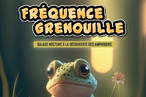 Balade nocturne à Decazeville : venez découvrir, écouter et observer les amphibiens !