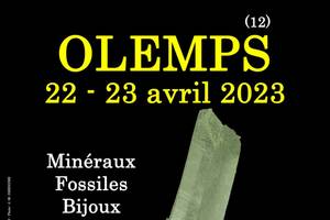 6e SALON MINERAUX FOSSILES BIJOUX de OLEMPS (Aveyron)