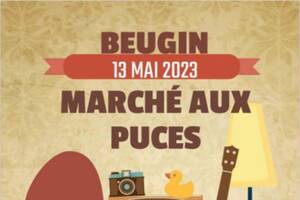 Expo véhicules et tracteur anciens et Marché aux puces