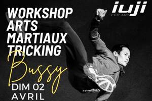 Workshop arts martiaux tricking