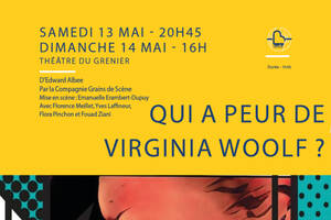 Qui a peur de Virginia Woolf ?