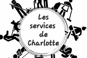 Service d'aide à la personne  e