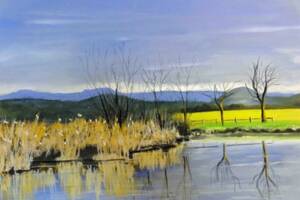 EXPOSITION « LA HAUTE-LOIRE EN PASTEL » DE CHRISTIAN CLESS