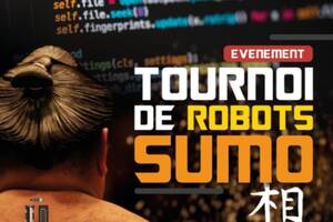 Tournoi de robots Sumo