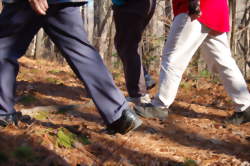 Rando Raid des Coteaux et Landes de Gascogne