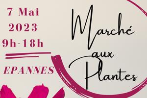 MARCHE AUX PLANTES