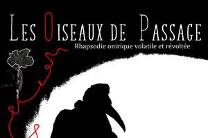 Spectacle Les Oiseaux de Passage par la Cie de l'Oiseau Jaune