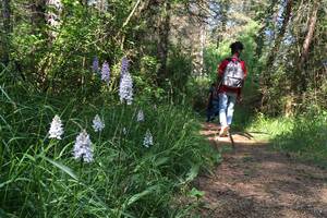 RANDO NATURE ET PATRIMOINE Yssandon