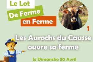 Le Lot de Ferme en Ferme - Les Aurochs du Causse ouvre sa ferme !