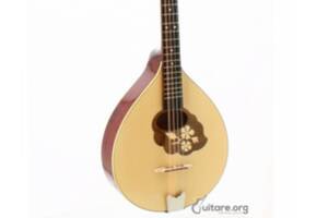 classe de perfectionnement musique traditionnelle irlandaise