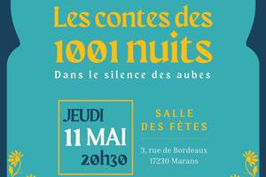 Contes des 1001 nuits : Dans le silence des aubes