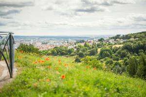 En nature, parentd/enfants