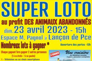 Super loto