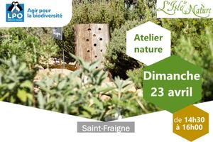 Accueillir les insectes dans son jardin