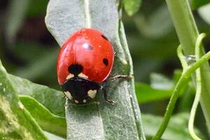 Autour du jardin