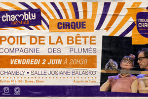 Spectacle de cirque : Poil de la bête