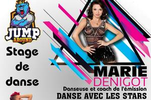 Danse Avec Les Stars 