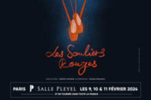 Les Souliers Rouges