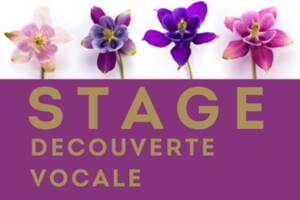 STAGE DECOUVERTE VOCALE