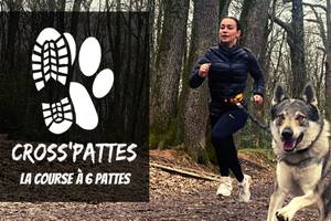 Cross'Pattes : un canicross caritatif !