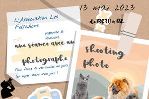 Shooting photo animalier