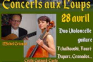 Duo violoncelle et guitare au château de Kerambleiz