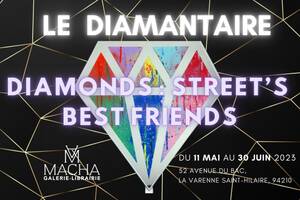 Exposition du Diamantaire DIAMONDS : STREET’S BEST FRIENDS chez Macha Galerie