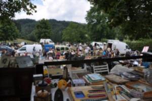 BROCANTE DE SIVIGNON (71)