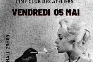 Concert de Three Birds Whisper et King Cau