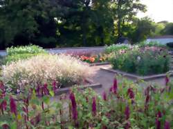 Rendez-vous au Jardin de Pesselières