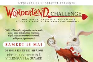 WONDERLAND CHALLENGE