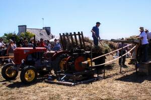 Moisson à l'ancienne