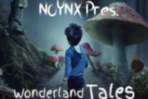 Noynx Pres. Wonderland Tales EP. @ Sarrebourg, fête de la musique 2023