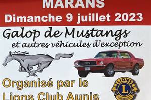 Galop de Mustangs et autres véhicules d'exception