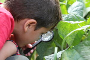  Jeunes et Nature