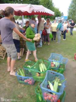 Marché bio au Port de Plaisance 