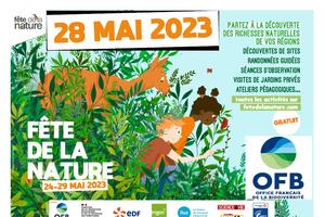 Fête de la Nature : balade découverte au bord de l'eau