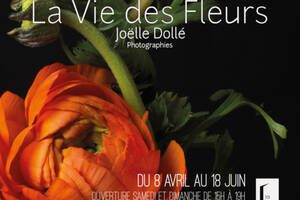 La Vie des Fleurs