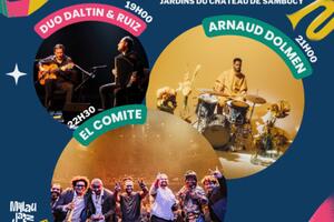 Millau Jazz Festival - Duo Grégory Daltin et Kiko Ruiz+ Arnaud Dolmen Quartet + El Comite - 22 Juillet