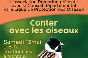 Conter avec les oiseaux