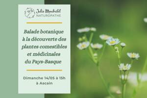 Rencontre Plantes sauvages du Pays-Basque