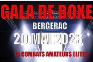 GALA DE BOXE ANGLAISE