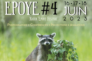 NEF#4 - Natur'Epoye Festival