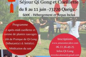 Qi Gong et Plantes Sauvages Comestibles