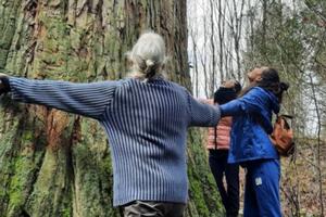 Qigong en nature